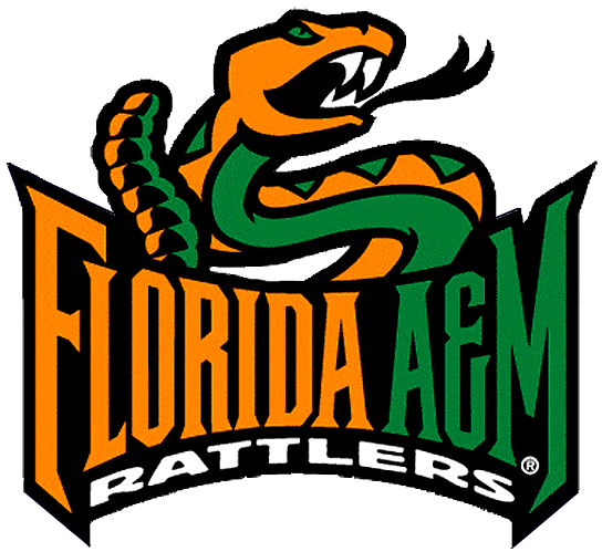 FAMU Logo 101