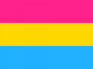 2000px-Pansexuality_flag.svg
