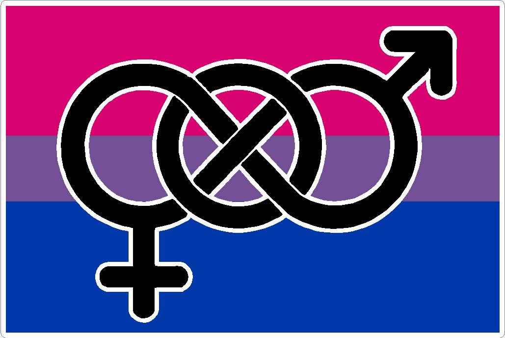 Bisexual-Awareness-or-Queer-Awareness-Week-bisexual-flag-1029×688