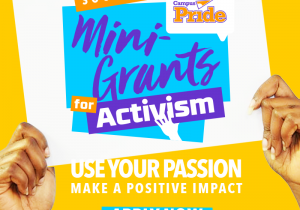 Mini Grants for Activism