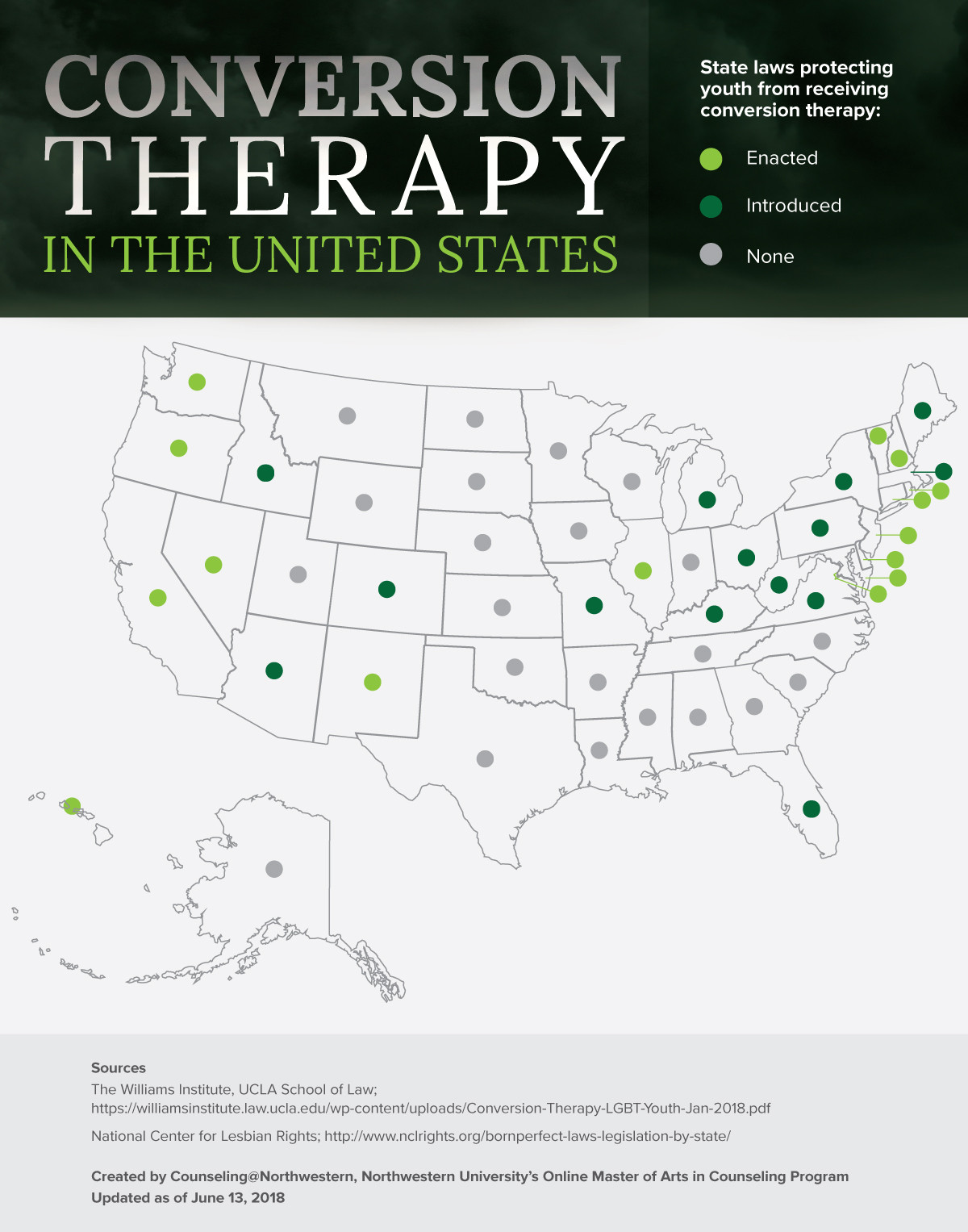 In the Aftermath of Conversion Therapy, Counselors Offer Healing Support